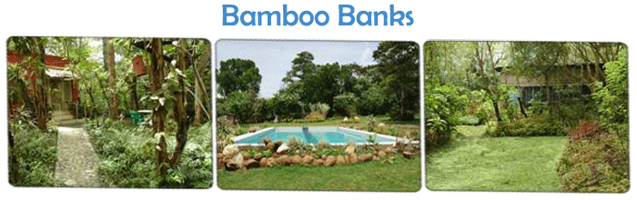 Eco Friendly Resorts